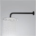 BALMAIN Shower Arm and Head - Matte Black - Renovation Box